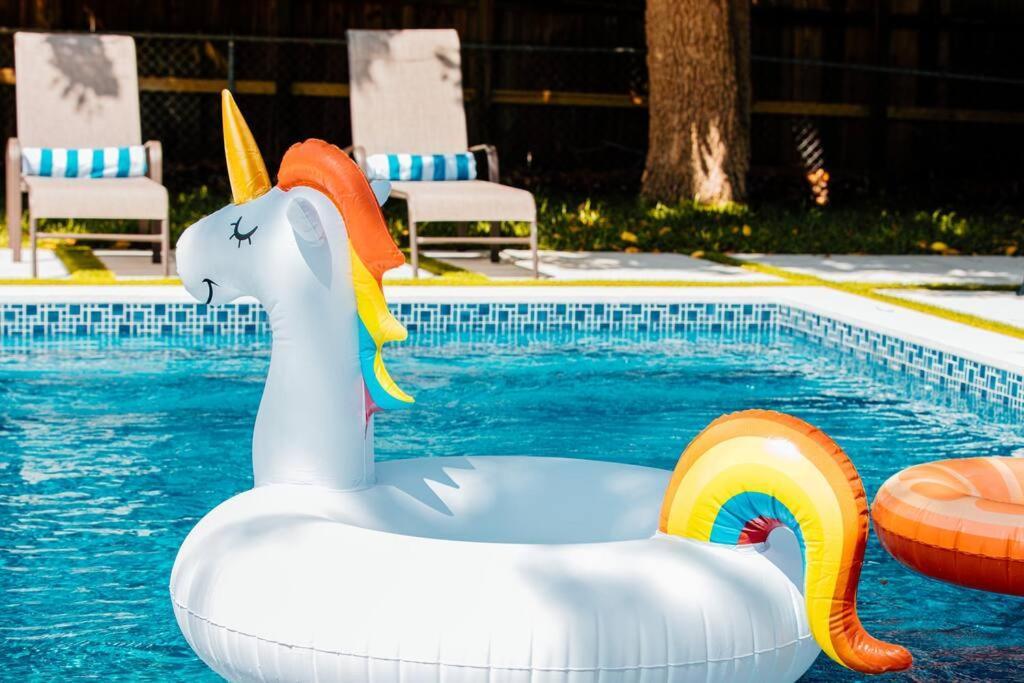 New Home, Pool Near Airport And Beaches, King Bed Hébergement de vacances *